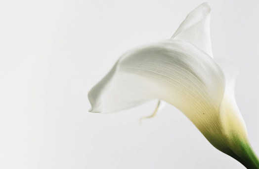 Поствоспалительная гиперпигментация при постакне