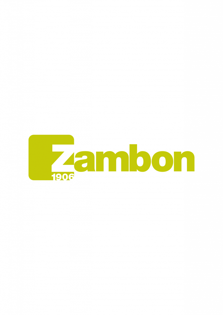 Zambon_LogoPositivoCMYK.png